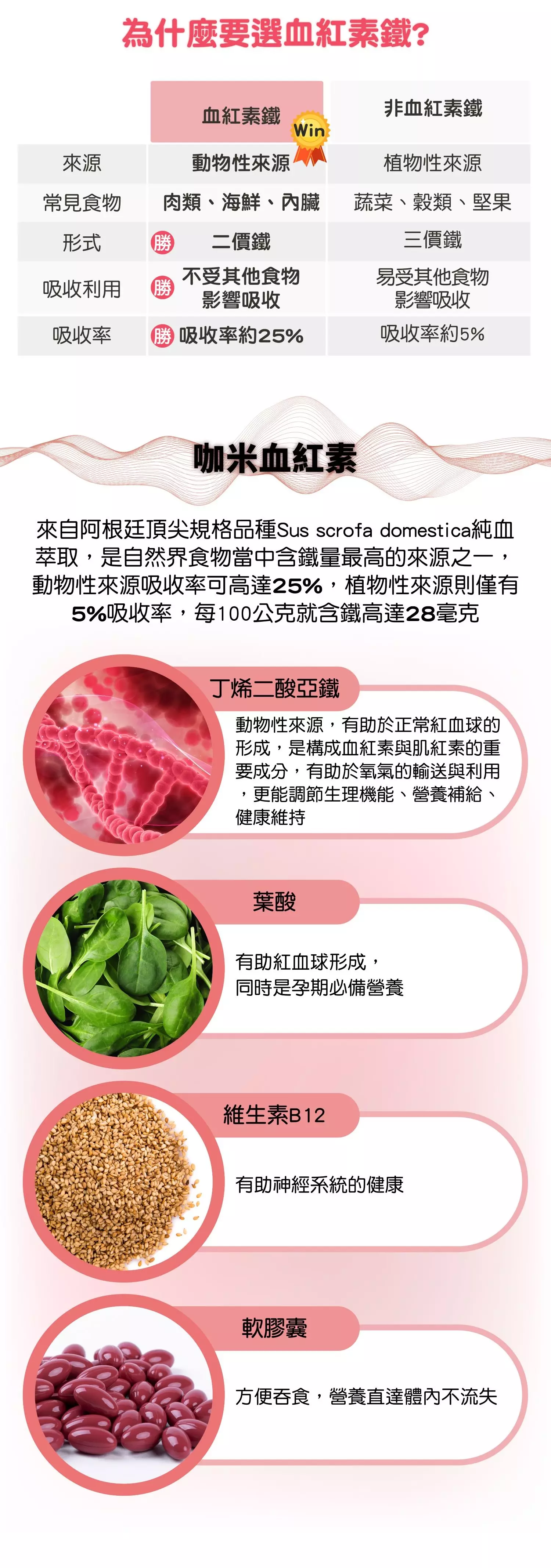 為什麼要選血紅素鐵? 咖米血紅素 來自阿根廷頂尖規格品種Sus scrofa domestica純血萃取,是自然界食物當中含鐵量最高的來源之一,動物性來源吸收率可高達25%,植物性來源則僅有5%吸收率,每100公克就含鐵高達28毫克 丁烯二酸亞鐵: 動物性來源 有助於正常紅血球的形成 構成血紅素與肌紅素的重要成分 有助於氧氣的輸送與利用 調節生理機能、營養補給、健康維持 葉酸 有助紅血球形成,同時是孕期必備營養 維生素B12: 有助神經系統的健康 軟膠囊 方便吞食,營養直達體內不流失